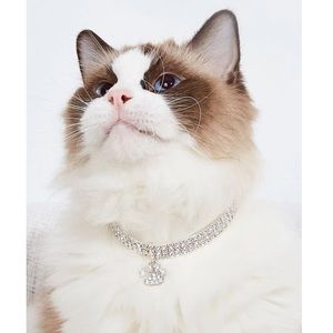 Paw Pendant Pet Necklace 🐕